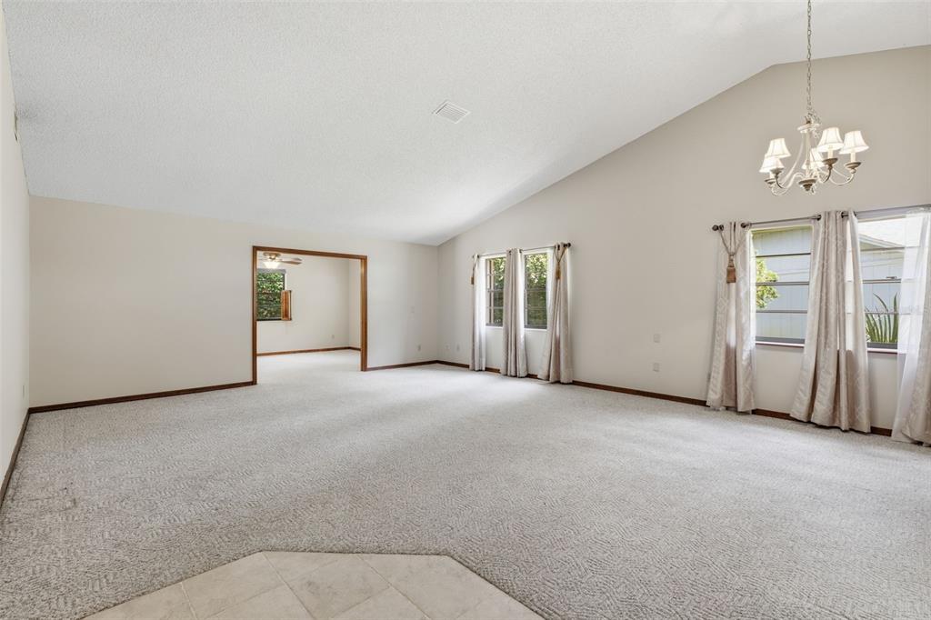 A spacious living room features beige carpet, vaulted ceilings, and windows with light-colored curtains — 30 RAMBLEWOOD TRAIL, DELAND, FL
