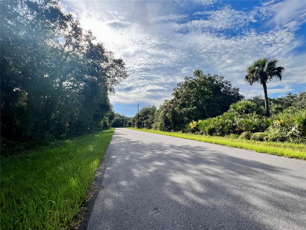 A paved road stretches into the distance, flanked by lush green trees and vegetation — 14463 BLACK AVENUE, PORT CHARLOTTE, FL