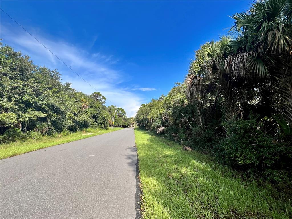A paved road stretches between dense green trees and vegetation under a clear blue sky — 14463 BLACK AVENUE, PORT CHARLOTTE, FL