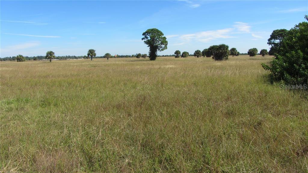 A wide, grassy field features scattered trees under a clear blue sky — 6 FLAX COURT, PLACIDA, FL