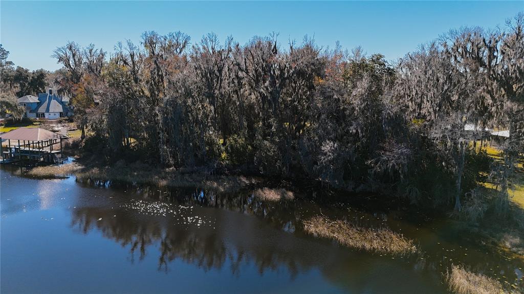 An aerial view shows a lake with a wooden dock and dense, moss-covered trees nearby — 16970 NE 120TH AVENUE, WALDO, FL