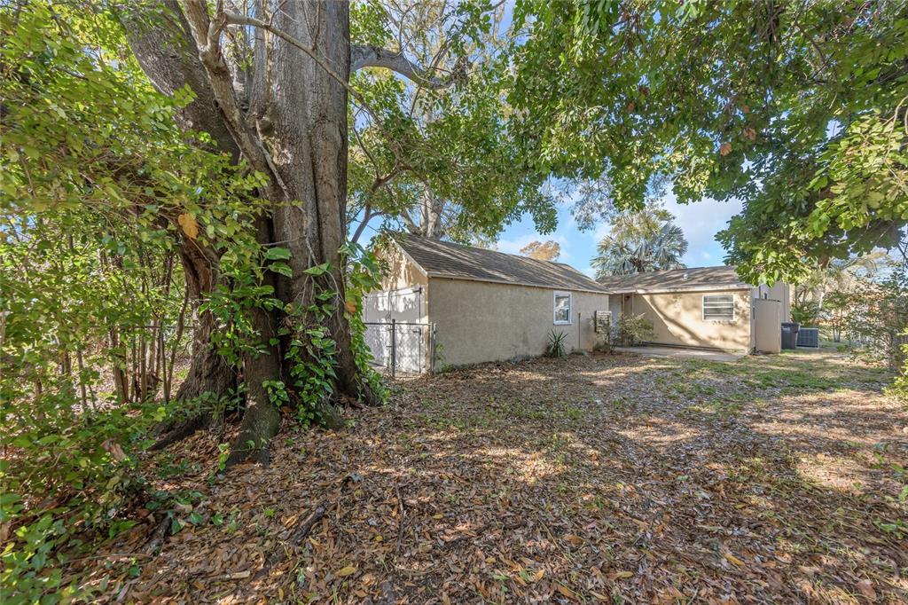A large tree stands beside a detached garage and a single-story house in a yard — 4139 26TH STREET N, ST PETERSBURG, FL