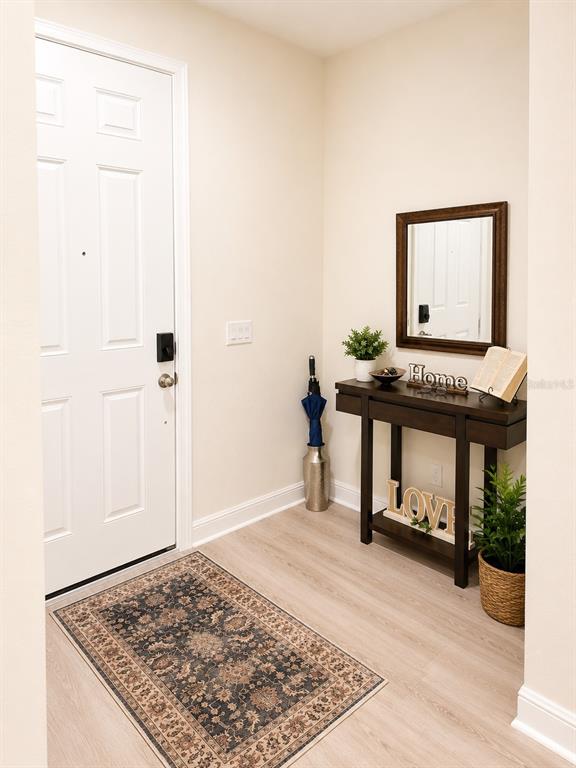 An entryway features a white door, a dark wood console table, a mirror, and a rug — 14164 SWANLEY STREET, ORLANDO, FL