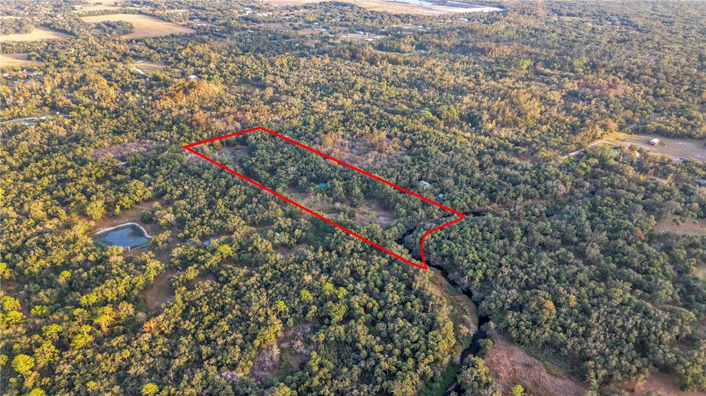 An aerial view shows a wooded property outlined in red with a small pond nearby — 8056 SW HORSE CREEK ROAD, ARCADIA, FL