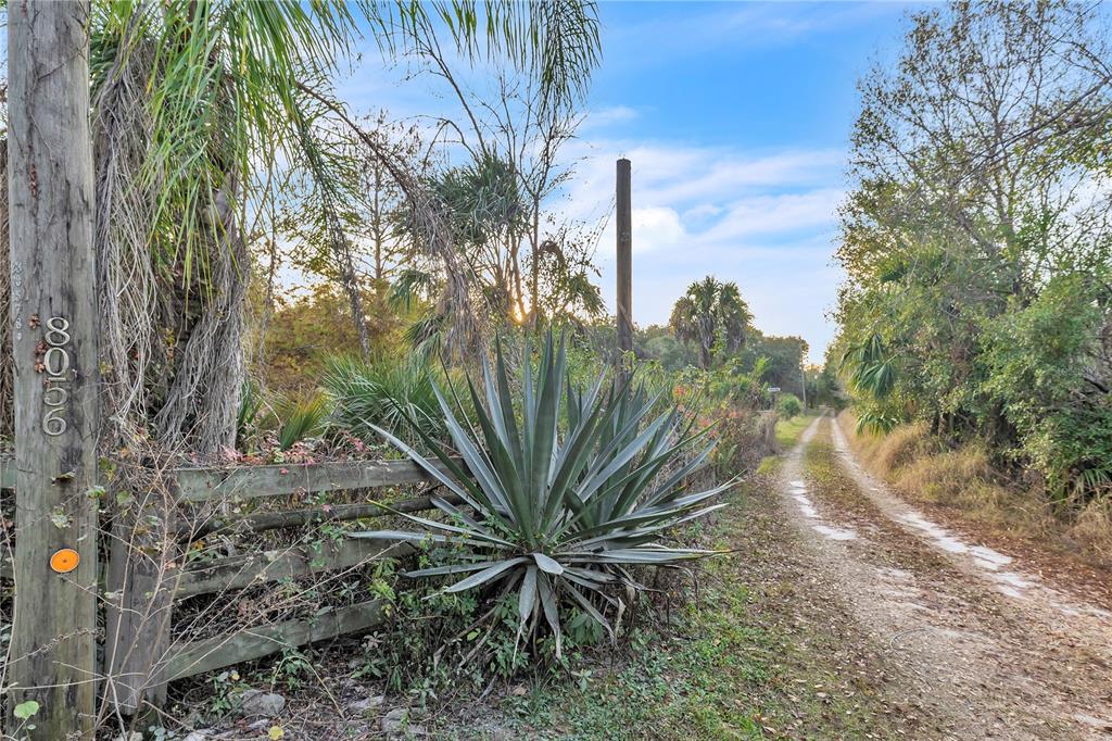 A dirt road runs alongside a wooden fence and a large agave plant — 8056 SW HORSE CREEK ROAD, ARCADIA, FL