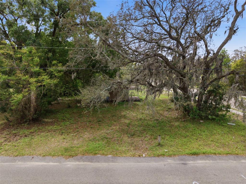A vacant, grassy lot features several large, moss-draped oak trees and a small shed — 1301 S CENTRAL AVENUE, APOPKA, FL