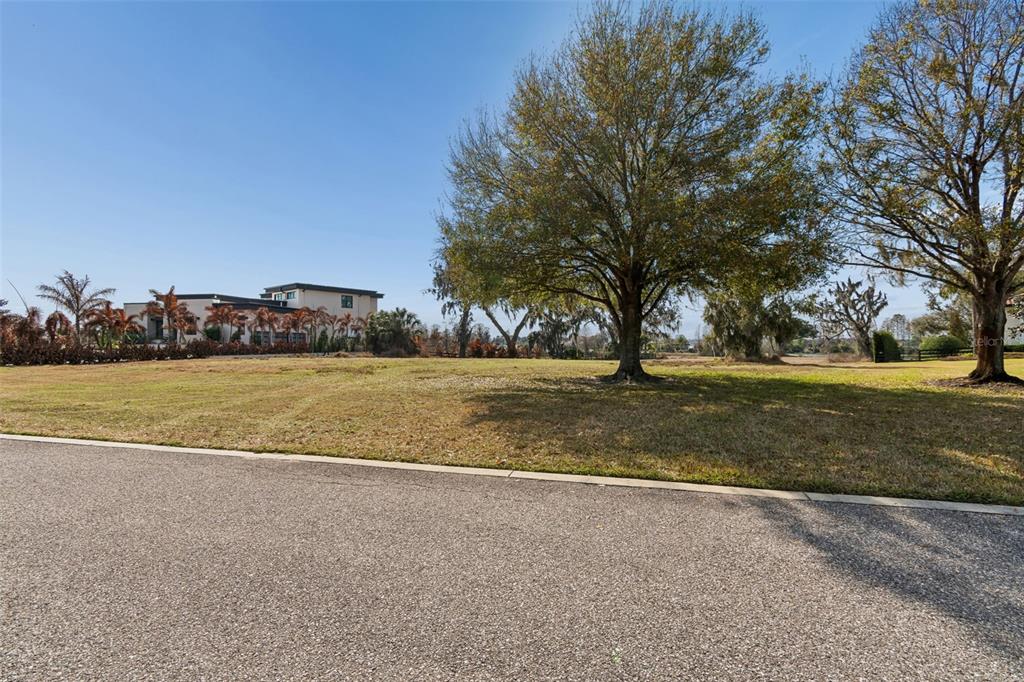 A paved road borders a grassy vacant lot with several large trees under a blue sky — 10718 OSPREY LANDING WAY, THONOTOSASSA, FL