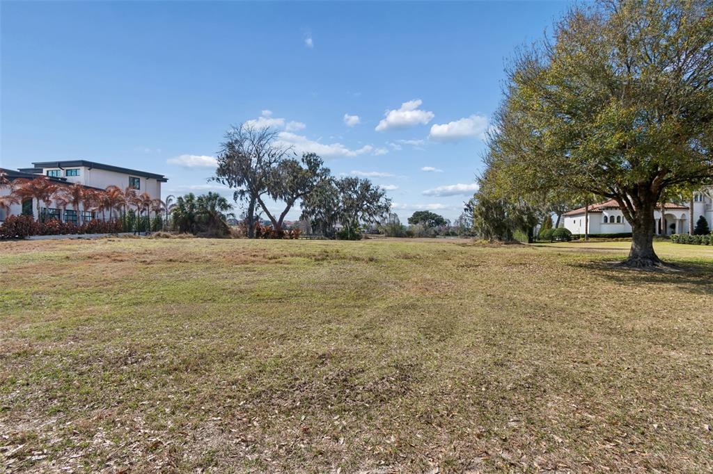 A large, grassy vacant lot is surrounded by trees and neighboring residential buildings — 10718 OSPREY LANDING WAY, THONOTOSASSA, FL
