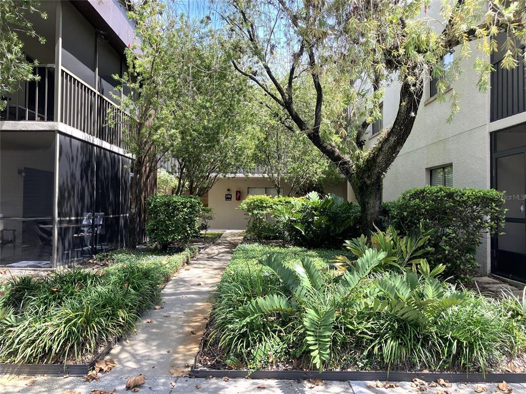 A concrete walkway leads through a landscaped courtyard between two multi-story apartment buildings — 11703 RAINTREE VILLAGE BOULEVARD UNIT B, TEMPLE TERRACE, FL