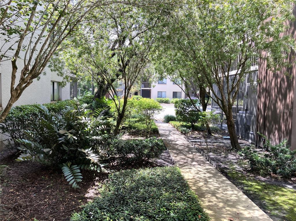 A paved walkway leads between two apartment buildings through a landscaped courtyard with trees — 11703 RAINTREE VILLAGE BOULEVARD UNIT B, TEMPLE TERRACE, FL