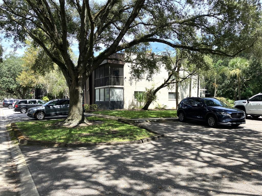 A multi-story apartment building is surrounded by large trees and a parking lot — 11703 RAINTREE VILLAGE BOULEVARD UNIT B, TEMPLE TERRACE, FL