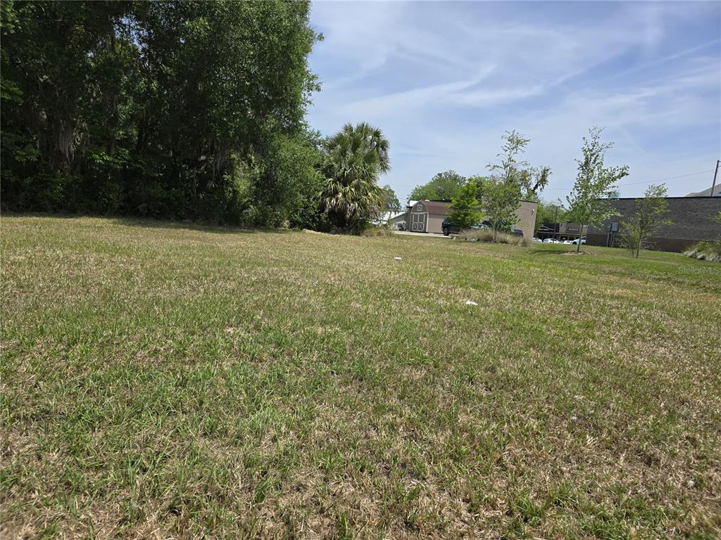 A grassy, vacant lot features a line of trees and nearby buildings in the background — 33 NW 3RD STREET, WILLISTON, FL