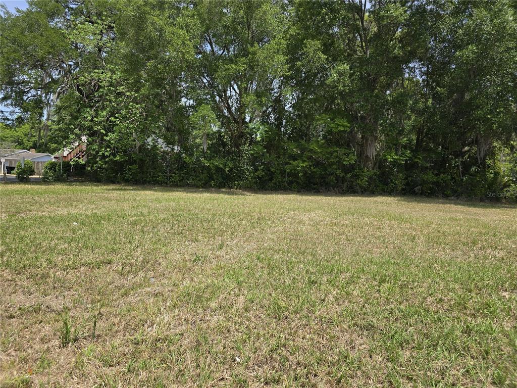 A flat, grassy vacant lot is bordered by a dense line of mature trees — 33 NW 3RD STREET, WILLISTON, FL