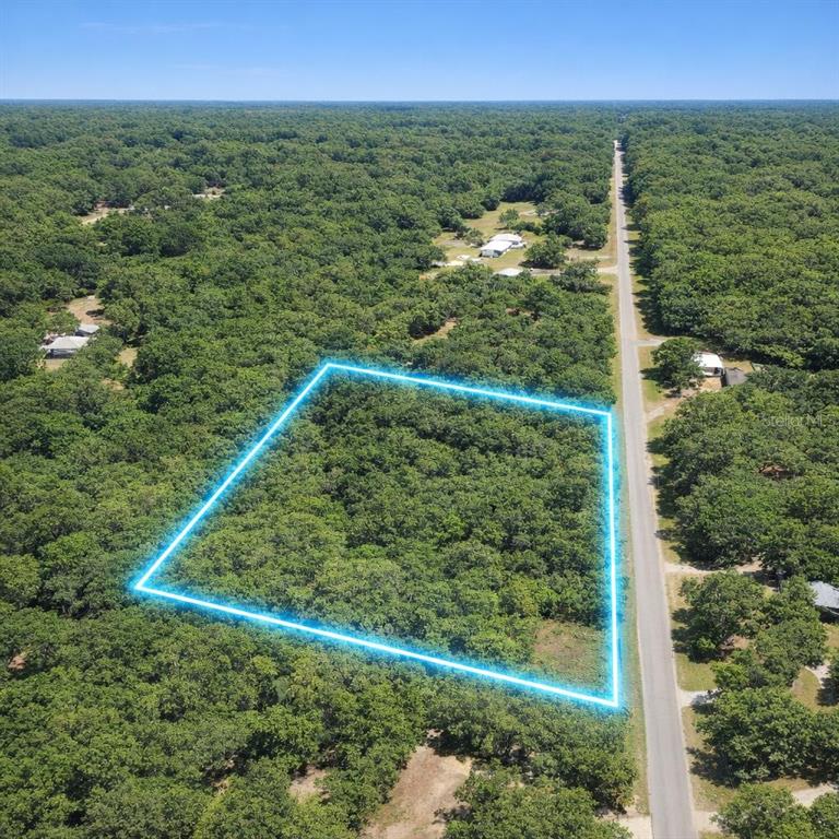 An aerial view shows a rectangular, wooded plot of land outlined in blue beside a road — 00 E HIGHWAY 316, FORT MC COY, FL