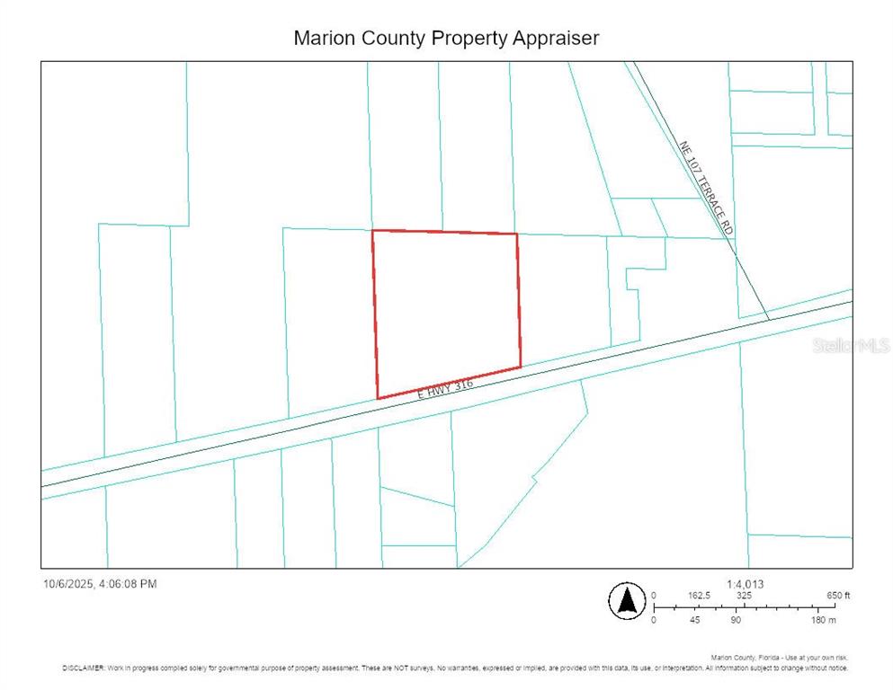 This is a property map showing a parcel of land outlined in red along a highway — 00 E HIGHWAY 316, FORT MC COY, FL