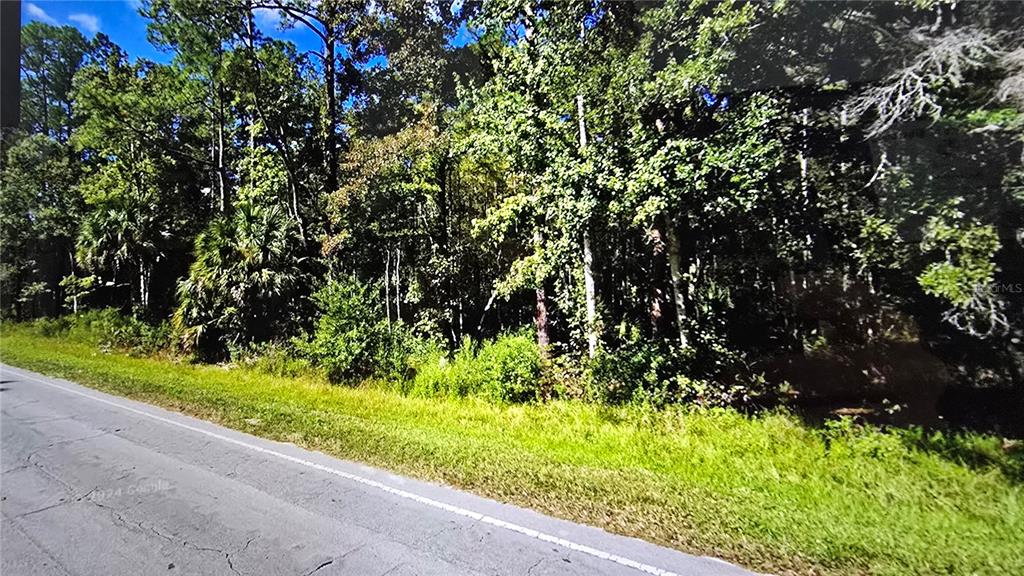 A paved road runs alongside a dense, wooded lot with various trees and shrubs — 00 E HIGHWAY 316, FORT MC COY, FL