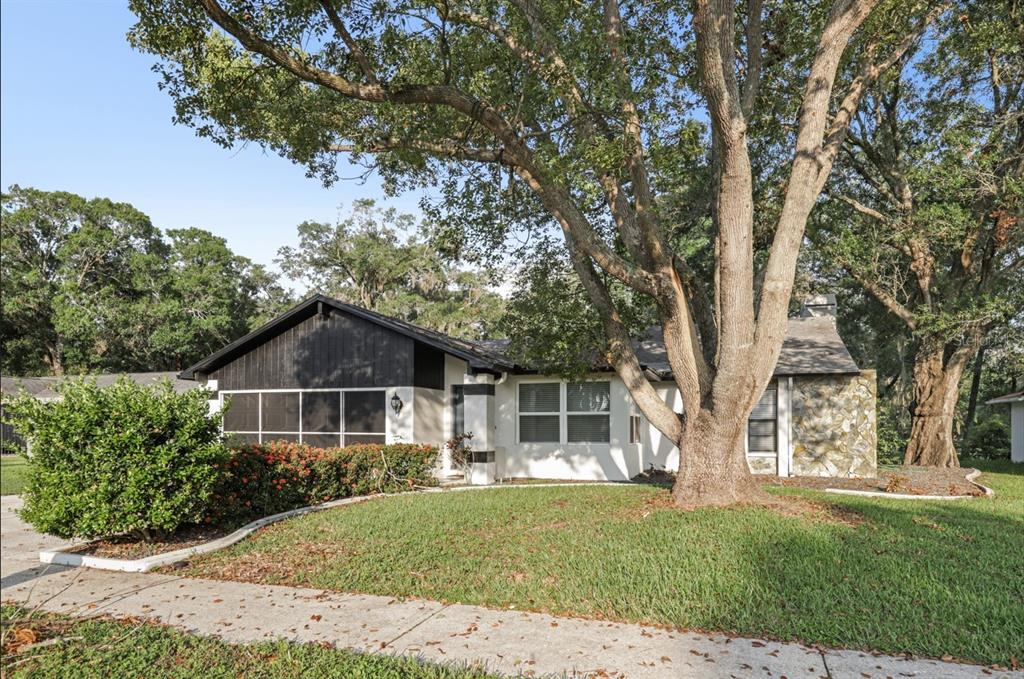 3753 THORNBUSH LANE