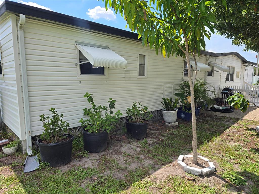 The exterior of a white mobile home features several potted plants and a small tree — 5316 53RD AVENUE E UNIT A21, BRADENTON, FL