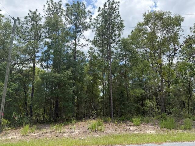 A wooded, undeveloped lot features tall pine trees and a grassy foreground under a cloudy sky — 1982 W ROSEBORO DRIVE, DUNNELLON, FL