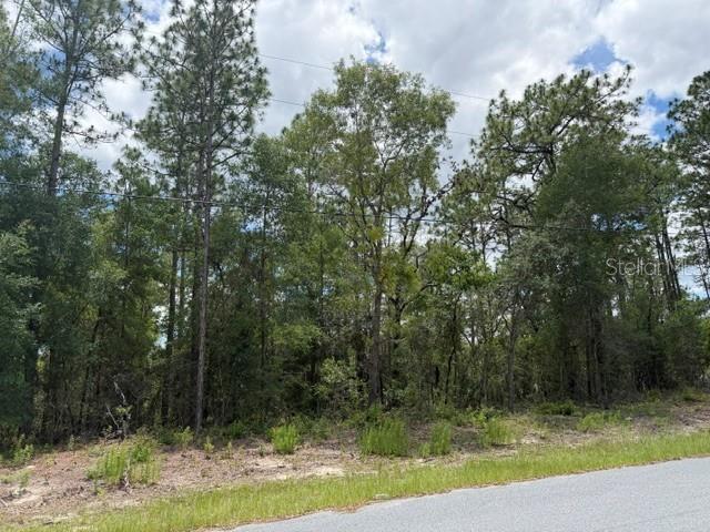 A view of a wooded, undeveloped lot from the edge of a paved road — 1982 W ROSEBORO DRIVE, DUNNELLON, FL