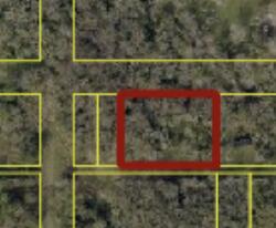 An aerial view of a wooded rectangular plot of land outlined in red — Tbd NE 10th Street, Okeechobee FL 34972, OKEECHOBEE, FL