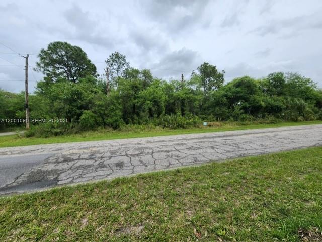 A vacant, wooded lot sits behind a paved road under a cloudy sky — 375 Montura Ave., Clewiston FL 33440, CLEWISTON, FL
