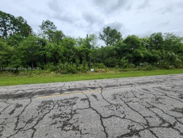 A paved road runs in front of a vacant, wooded lot under a cloudy sky — 375 Montura Ave., Clewiston FL 33440, CLEWISTON, FL