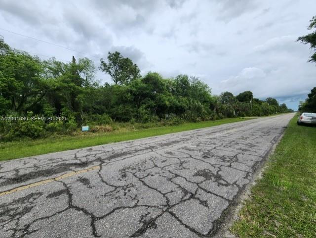 A paved road runs alongside a wooded lot under a cloudy sky — 375 Montura Ave., Clewiston FL 33440, CLEWISTON, FL