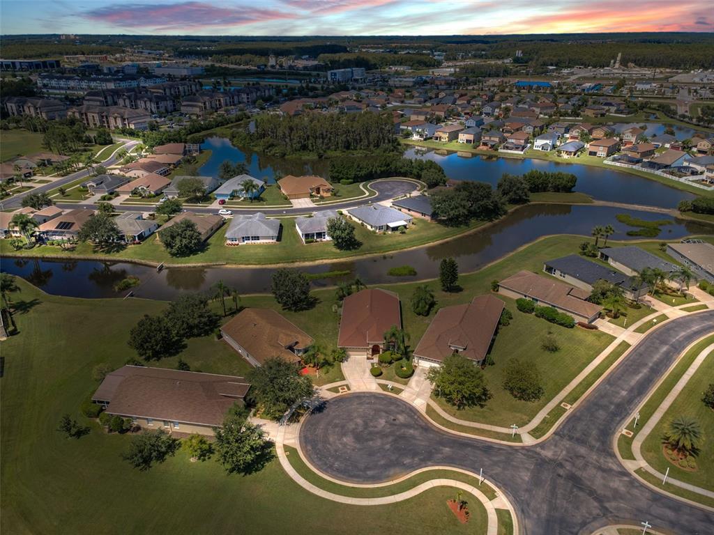 An aerial view shows a suburban neighborhood with houses surrounding a winding lake at sunset — 12021 FERN TERRACE COURT, TRINITY, FL