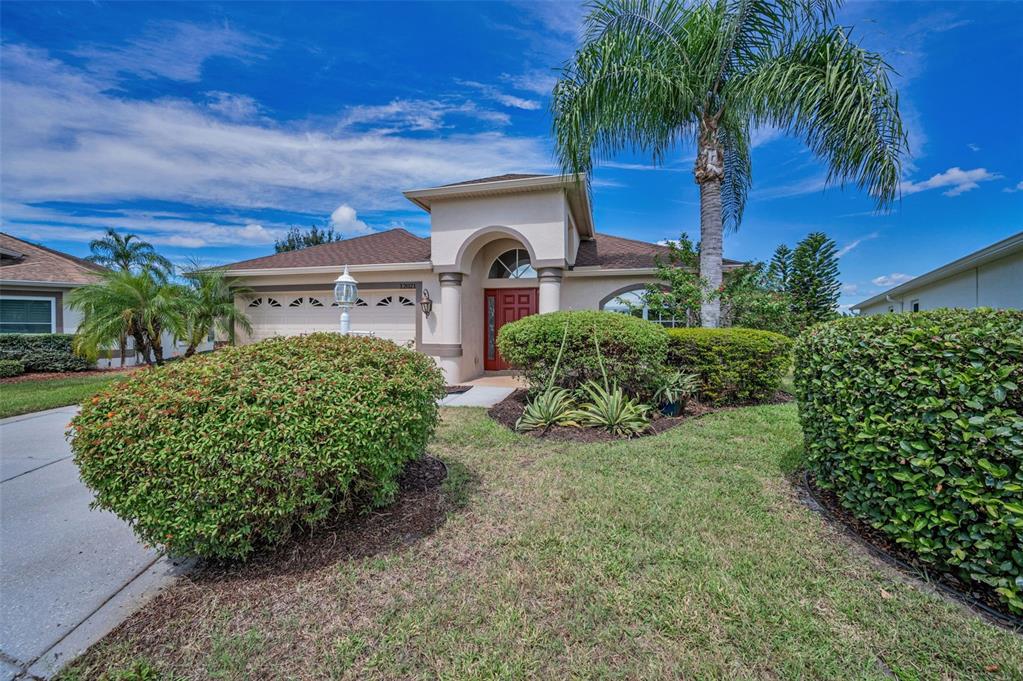 A single-story house with a red front door, a palm tree, and manicured landscaping — 12021 FERN TERRACE COURT, TRINITY, FL