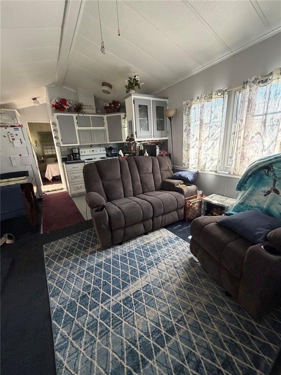 A living room with a brown reclining sofa, a patterned blue rug, and an adjacent kitchen — 158 BROOKSHIRE DRIVE, NOKOMIS, FL