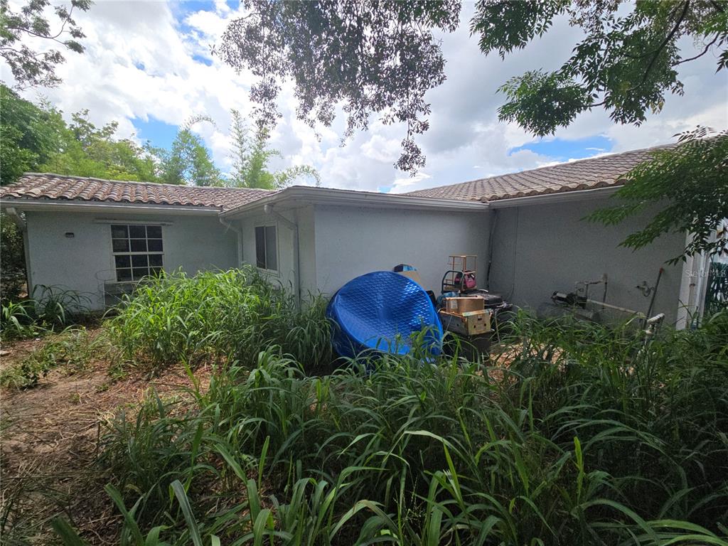 The exterior of a house features a tiled roof, white walls, and overgrown yard vegetation — 7809 WAXWOOD DRIVE, PORT RICHEY, FL