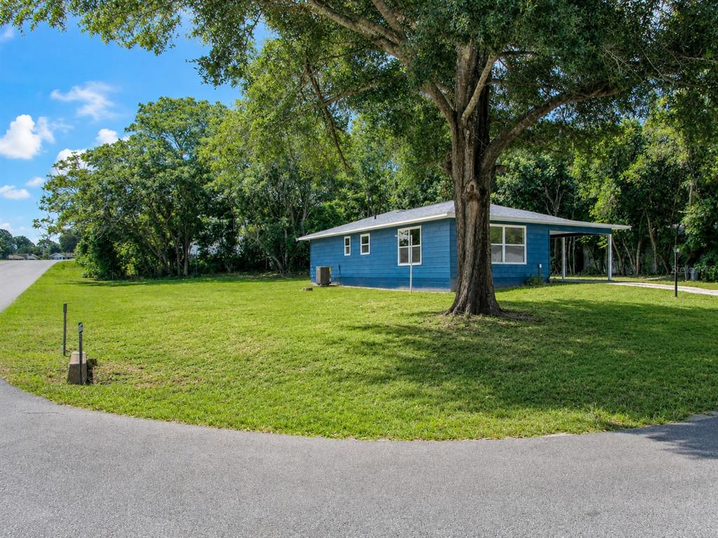A blue house with a carport sits on a grassy lot under a large tree — 49 LAKE COURT LOOP, OCALA, FL