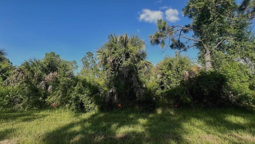 A grassy lot with dense vegetation, palm trees, and tall pines under a blue sky — 2071 LINGAYEN STREET, PORT CHARLOTTE, FL