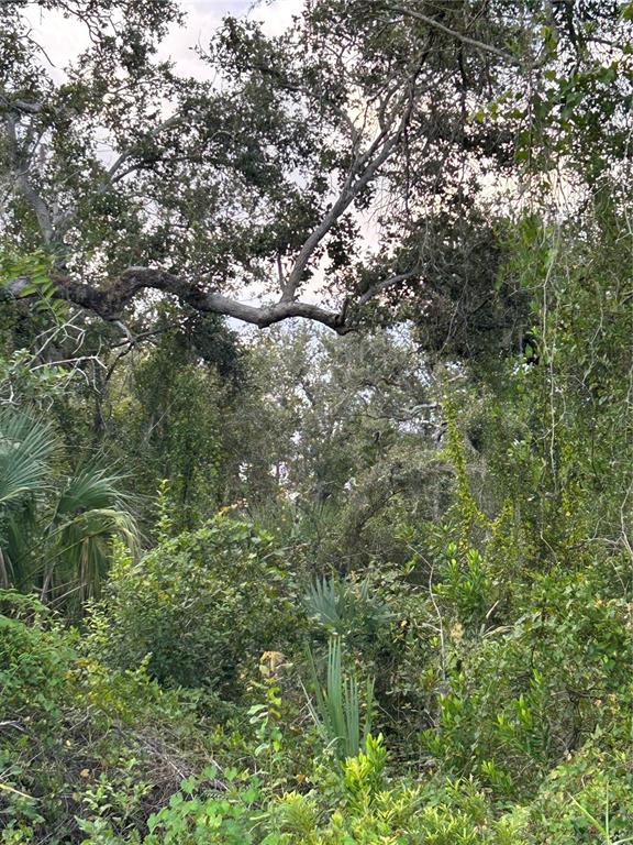 29431 NOTTINGHAM ROAD, PUNTA GORDA, FL — photo 2 of 7