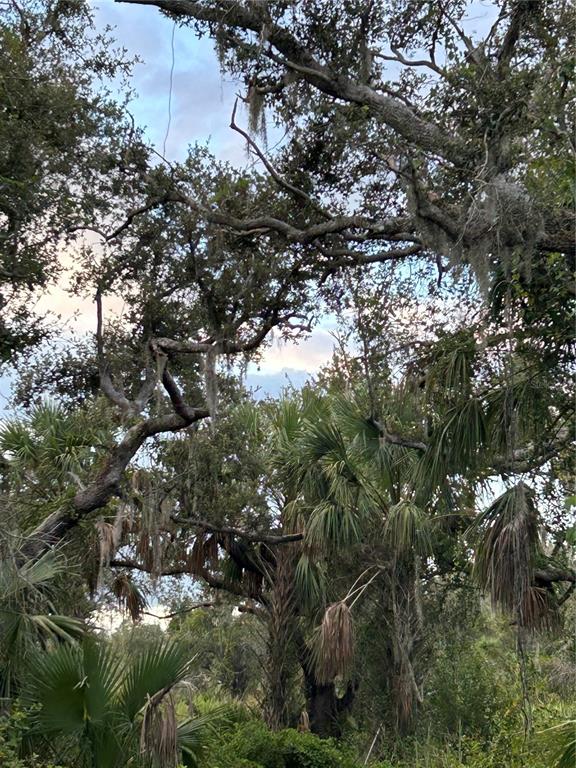 29431 NOTTINGHAM ROAD, PUNTA GORDA, FL — photo 3 of 7