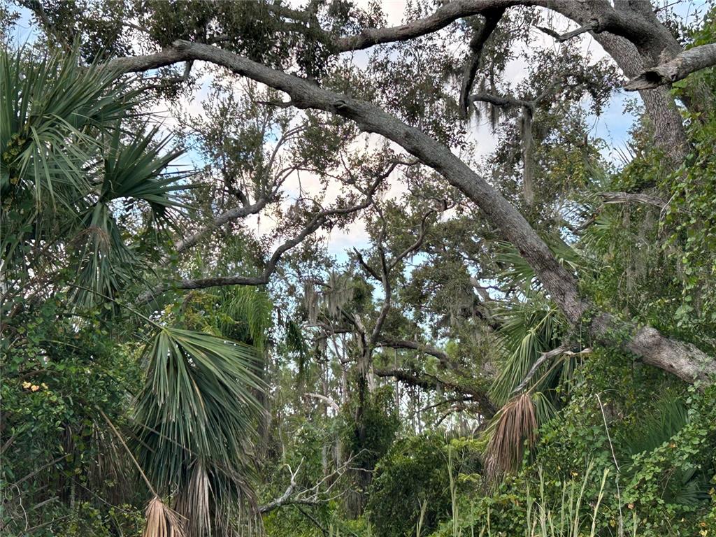 29431 NOTTINGHAM ROAD, PUNTA GORDA, FL — photo 4 of 7