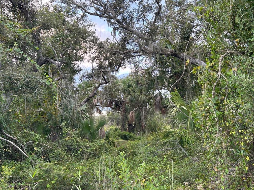 29431 NOTTINGHAM ROAD, PUNTA GORDA, FL — photo 5 of 7