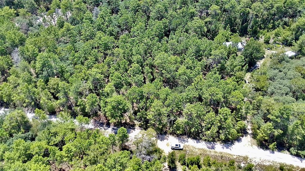 An aerial view shows a dirt road winding through a dense, wooded forest area — 121 PEAR STREET, WELAKA, FL