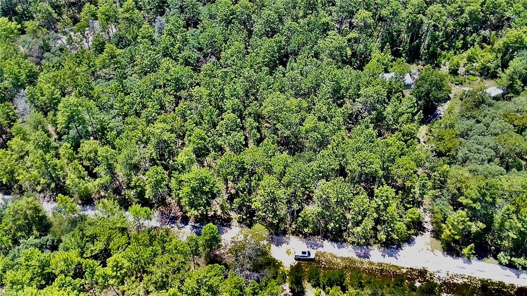 An aerial view shows a wooded lot with a dirt road and a parked vehicle — 121 PEAR STREET, WELAKA, FL