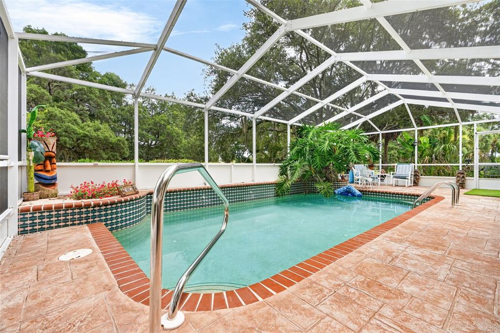 A screened-in swimming pool with a tiled wall and brick coping on a patio — 507 E GILCHRIST COURT, HERNANDO, FL