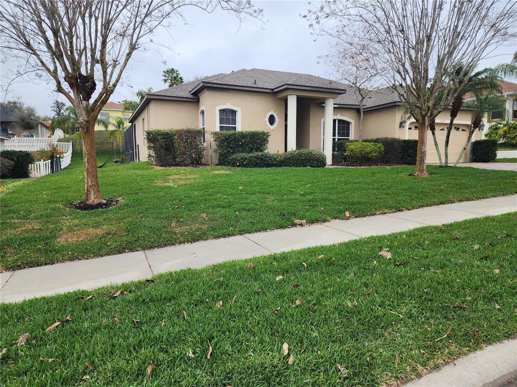 A single-story tan house with a front lawn, sidewalk, and two trees — 12027 STILL MEADOW DRIVE, CLERMONT, FL