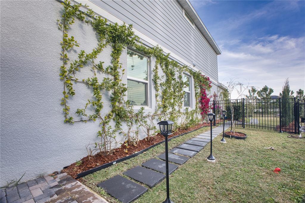 A side view of a house exterior featuring a stone walkway, climbing vines, and landscaping — 3262 HANGING TIDE STREET, WINTER GARDEN, FL