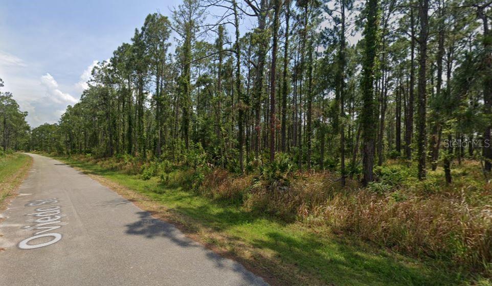 A paved road runs alongside a dense, wooded lot with tall pine trees — 8931 OVIEDO STREET, SEBRING, FL