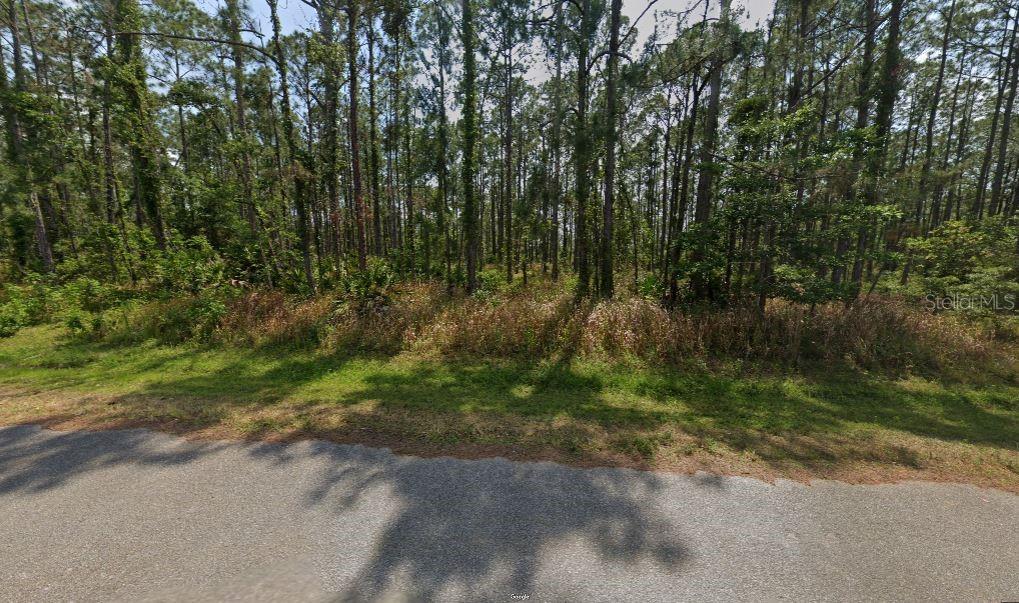 A wooded, undeveloped lot viewed from an adjacent paved road — 8931 OVIEDO STREET, SEBRING, FL