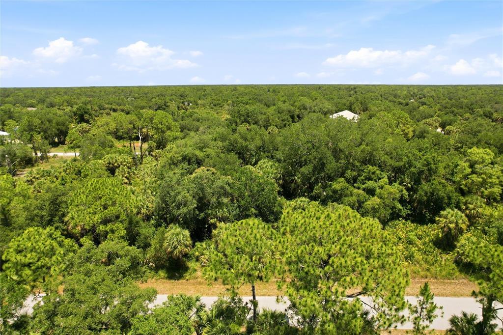 An aerial view shows a dense, wooded landscape with a paved road in the foreground — 18426 SAGAMORE AVENUE, PORT CHARLOTTE, FL