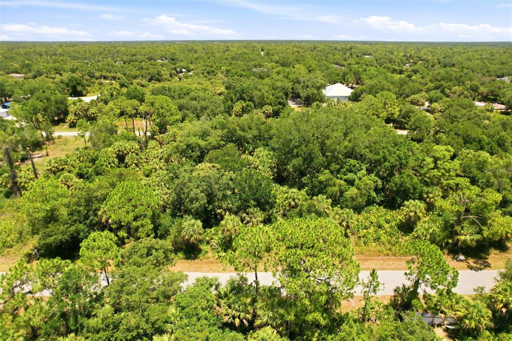 An aerial view shows a wooded lot with a paved road running through the property — 18426 SAGAMORE AVENUE, PORT CHARLOTTE, FL