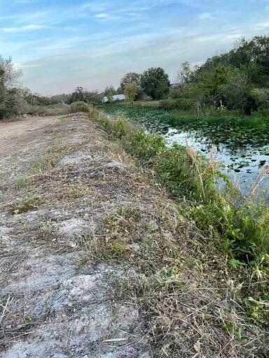 A dirt embankment runs alongside a narrow canal filled with lily pads and green vegetation — 18516 NW 262nd Street, Okeechobee FL 34972, OKEECHOBEE, FL