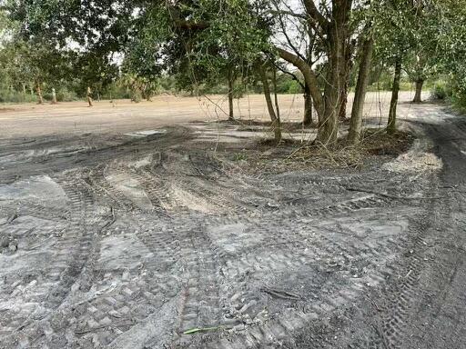 A cleared, dirt-covered lot features tire tracks and a small cluster of mature trees — 18516 NW 262nd Street, Okeechobee FL 34972, OKEECHOBEE, FL