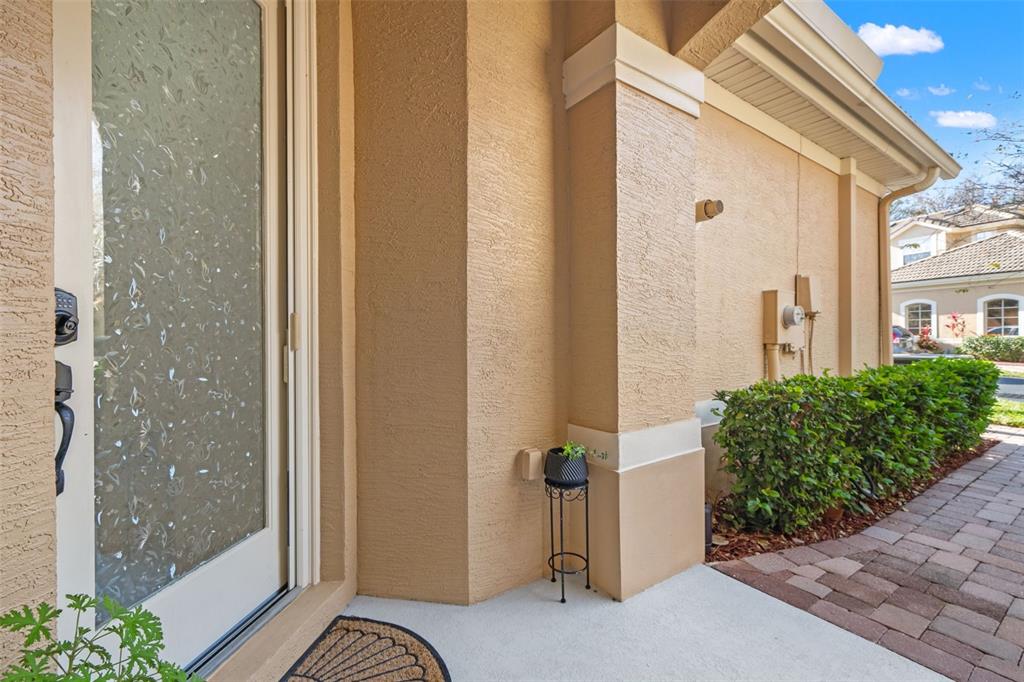 A tan stucco exterior wall features a frosted glass front door and a small potted plant — 7305 GABERIA ROAD, NEW PORT RICHEY, FL